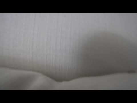 | noelgoescrazy #shorts thumbnail