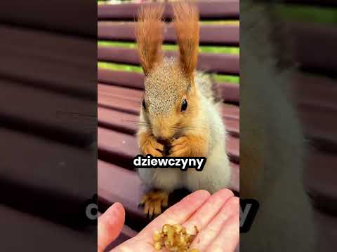 Ta dziewczyna znalazła przyjaciółkę w parku! 😮 thumbnail