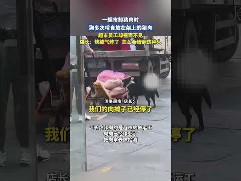 一超市卸猪肉时，狗多次啃食放在架上的猪肉，超市员工却视而不见 thumbnail