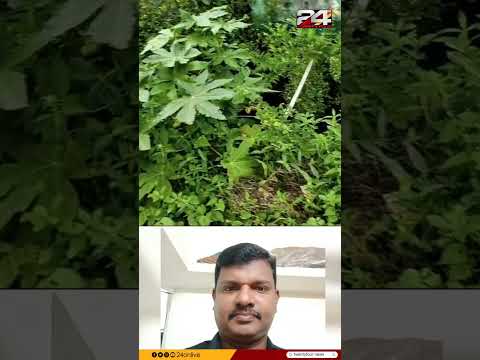 ആലപ്പുഴയിൽ ഓടയിൽ വീണ് യുവാവ് മരിച്ചു thumbnail