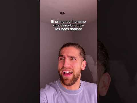 Fue Así Chat ?​​ thumbnail