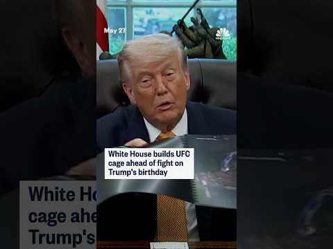 White House builds UFC cage ahead of fight on Trump's birthday thumbnail