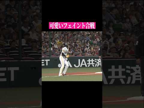 【かわいいvsかわいい】かわいいの勝ち！ #shorts thumbnail