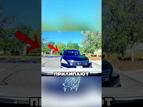 Главное правило безопасного вождения #факты thumbnail