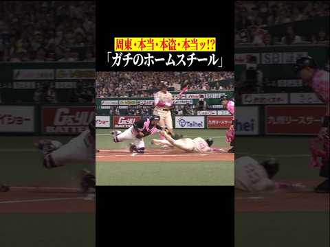 【激レア】本当に本当の本盗、ホームスチール #shorts thumbnail
