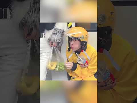 💔 بطل التوصيل الذي ضحّى بنفسه لإنقاذ امرأة! 😳🚴‍♂️ thumbnail