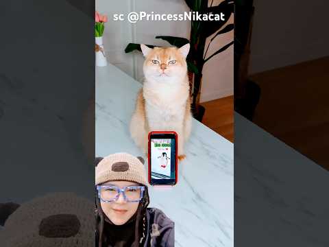mau lihat penguin‼️PrincessNikacat thumbnail