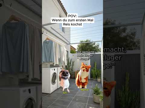 POV: Wenn du zum ersten Mal Reis kochst #shorts #katzen #memes thumbnail