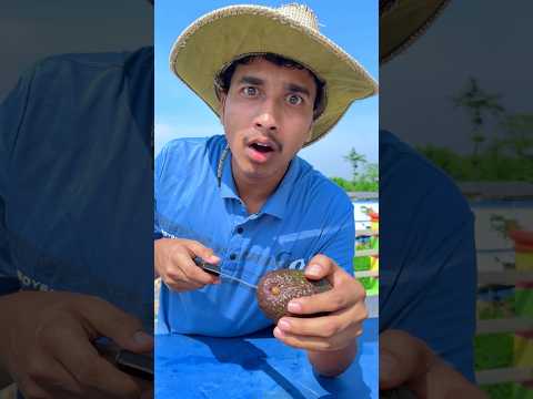 How to cut an Avocado!#shorts thumbnail