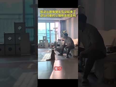 模仿#cat #喵哥是萌新 thumbnail