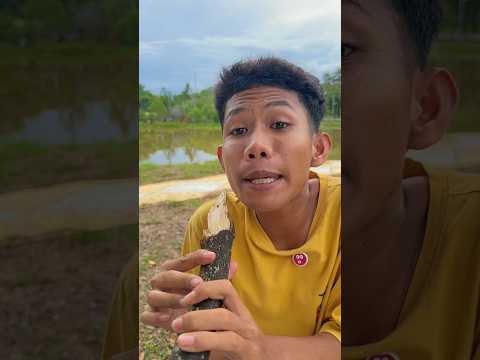 mintak bagi lolipop poppop? thumbnail