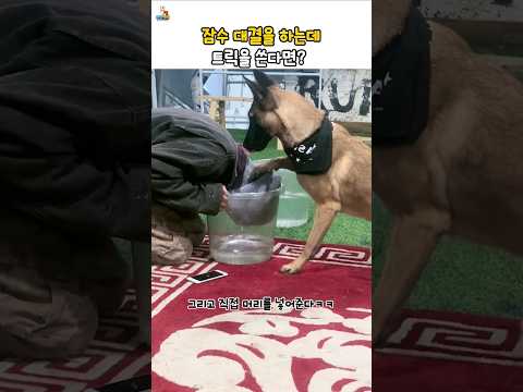 집사가 휴대폰을 바꾸게 된 이유 thumbnail