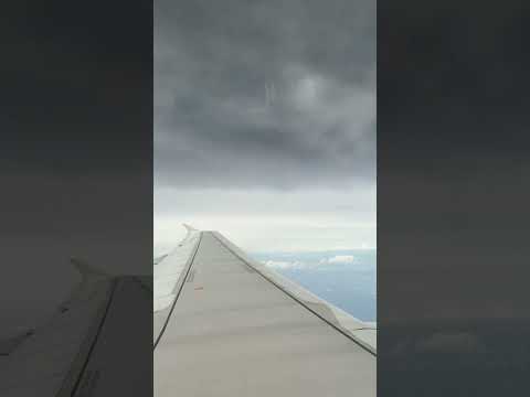 How long do you think my flight was? ✈️ thumbnail