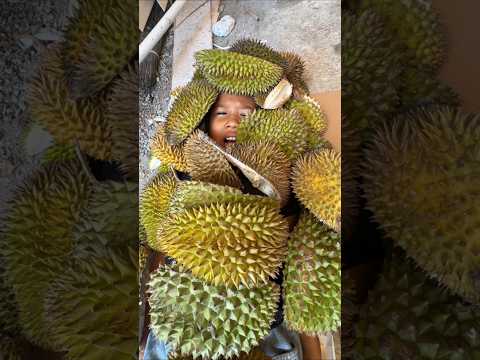 DE IJA GAGAL DI KASIH UANG SAMA MANG UNI GARA GARA MUKBANG DURIAN TIDAK HABIS thumbnail