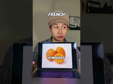 How Everyone Copies Chinese thumbnail