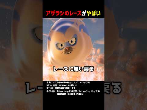 アザラシのレースがやばい #shorts thumbnail