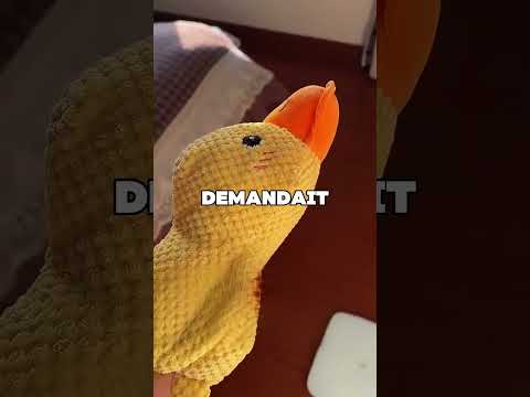 Ce garçon retrouve l'être qui lui est le plus cher 🥺❤️ thumbnail