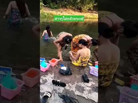 สาวๆไม่กลัวจระเข้ #funny #comedy #crocodile #คลิปตลก #เล่าเรื่องตลก thumbnail
