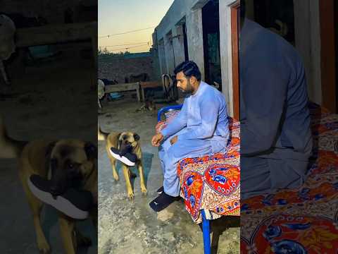 Allah Sent The Dog To Save Him 🥺🐕 thumbnail