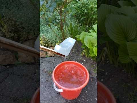 Gardeners, Remember this Watering Tricks to Avoid Fatigue and Back Pain #DIY #gardening #tricks thumbnail
