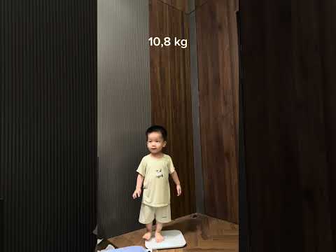 có thế thôi mà cười cả tối thumbnail