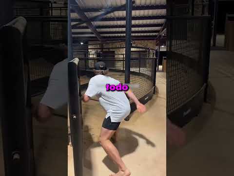 Pensó Que Podía Correr Como Un Caballo 🐎❄️ thumbnail