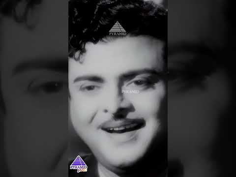 Poojaiku Vantha Video Song | Paadha Kaanikkai Movie Songs | Gemini Ganesan | Savitri | #ytshorts thumbnail