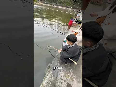 El Niño Demostró Que Los Peces Comen Snacks 😱 thumbnail