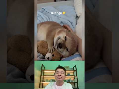 What The Dog Doing P194: PiPi LaBu Buồn Ngủ thumbnail