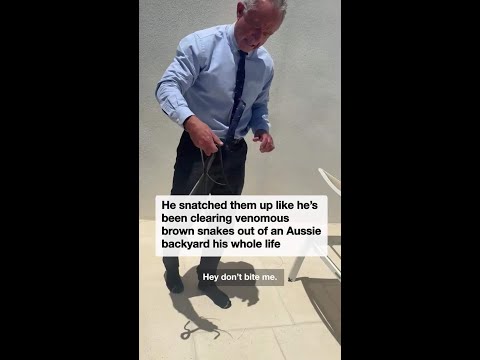 Robert F Kennedy calmly wrangles a snake in unexpected wildlife moment thumbnail