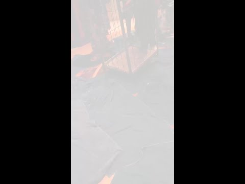 Luxury cruise liner inundated after pool pipe ruptures thumbnail