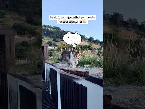 It’s extremely important to learn to deal with rejection in life ? thumbnail