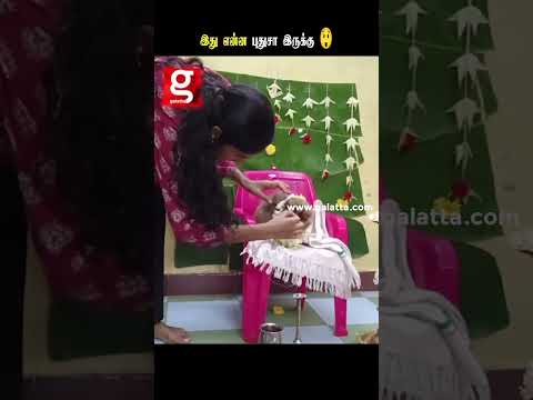 பூனைக்கு வளைகாப்பா... 😲 அய்யோ இது என்ன புதுசா இருக்கு..😮 thumbnail