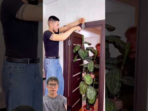 Anh trai muốn làm người xấu #trendingshorts #trendingvideo #shorts #shortsviral #viralshorts thumbnail
