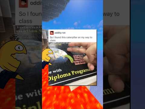 Nugget Got WINGS ? thumbnail