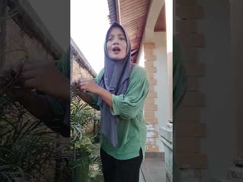 ada barongsai ngamen #shortvideo #funny #comedy thumbnail