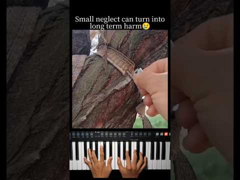The tree is free now 🕊️ thumbnail
