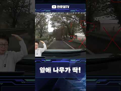 #5356. 머리 위에서 나무가 뚝! thumbnail