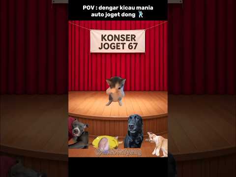asik jirr lagu nya 🕺🏻 #memes #cat #kicaumania #hiburan #memekucing thumbnail