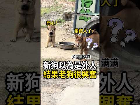 會看臉色行事的狗狗😂 thumbnail