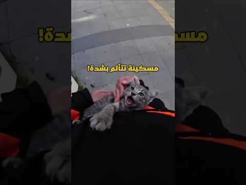 أنفق آخر ما يملك لإنقاذها لكن النهاية كانت صادمة! ? Credit: loconlly/IG thumbnail