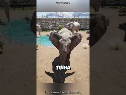 🐘 O belo coração de um elefante — ajudando uma garotinha#shortsvideo thumbnail