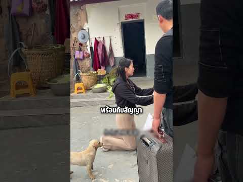 กลับบ้านมาถูกแฟนเซอร์ไพรส์! จนเธอรํ่าไห้หนักเพราะเรื่องนี้ #shorts #knowledge #viral #สะท้อนสังคม thumbnail