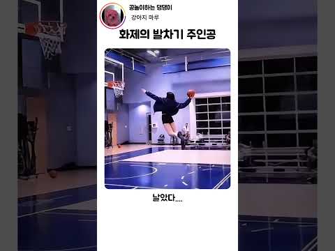 날아올라~~~슬덩크 thumbnail