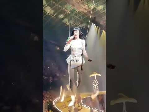 😳 Comment les chanteurs partent à la fin de leurs concerts… thumbnail