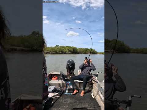 Fishing Hook… Aur Unexpected Reaction! 🤯🎣 (🎥_@fnq_adventures) thumbnail