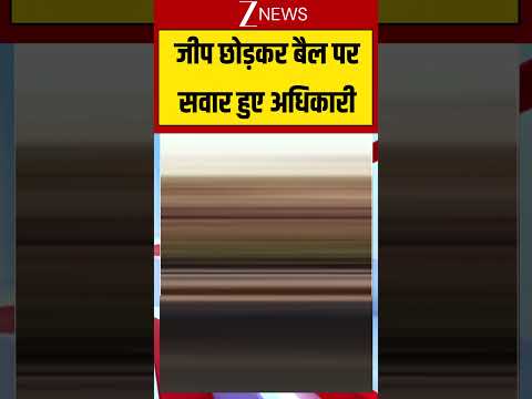Viral Video: जीप छोड़कर बैल पर सवार हुए अधिकारी thumbnail