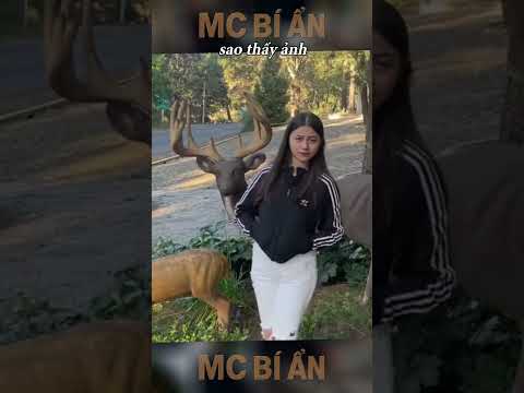 Nhờ Bạn Chụp Hình Up Lên Mạng | E348 #mcbian thumbnail