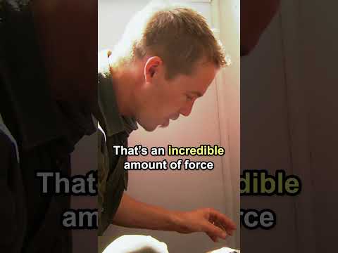 Deadly Spider in Australian Home ? #funnelwebspider #deadly #shorts thumbnail