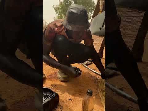 Black Gold 2 thumbnail
